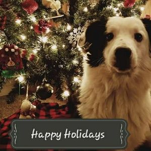 ❄Happy Holidays❄☃🎄